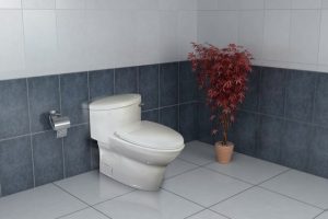 توالت فرنگی کاکتوس