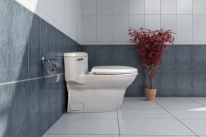 توالت فرنگی کاکتوس