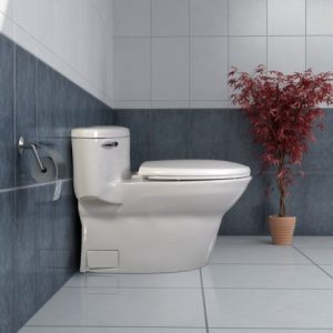 توالت فرنگی کاکتوس