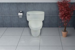 توالت فرنگی کاکتوس