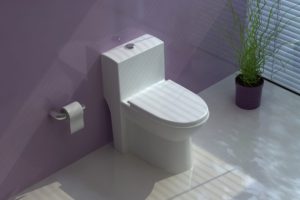 توالت فرنگی لوسیا