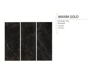 MAXIM GOLD 120×300