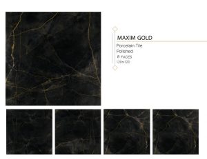 MAXIM GOLD 120x120
