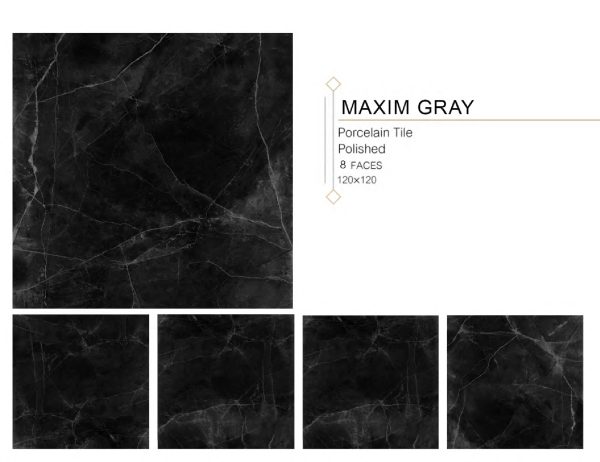 MAXIM GRAY 120x120