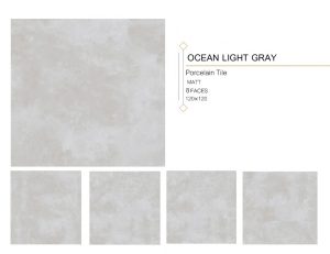 OCEAN LIGHT GRAY 120x120
