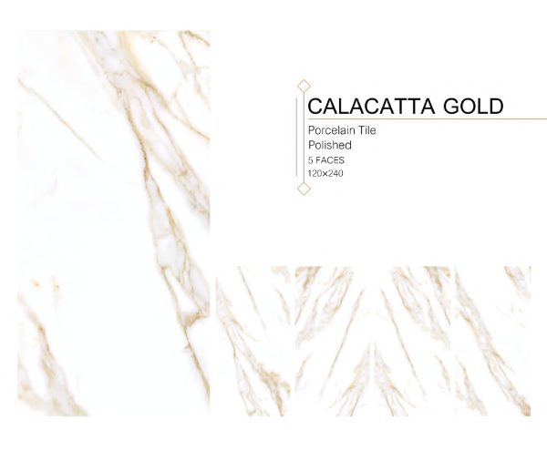 CALACATTA GOLD 120x240